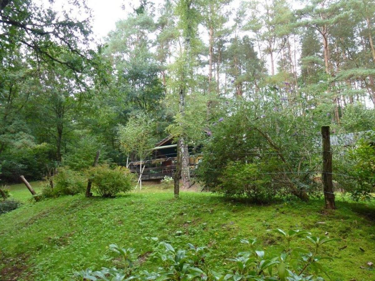 Cosy Chalet With Private Sauna In Bousseviller Номер фото