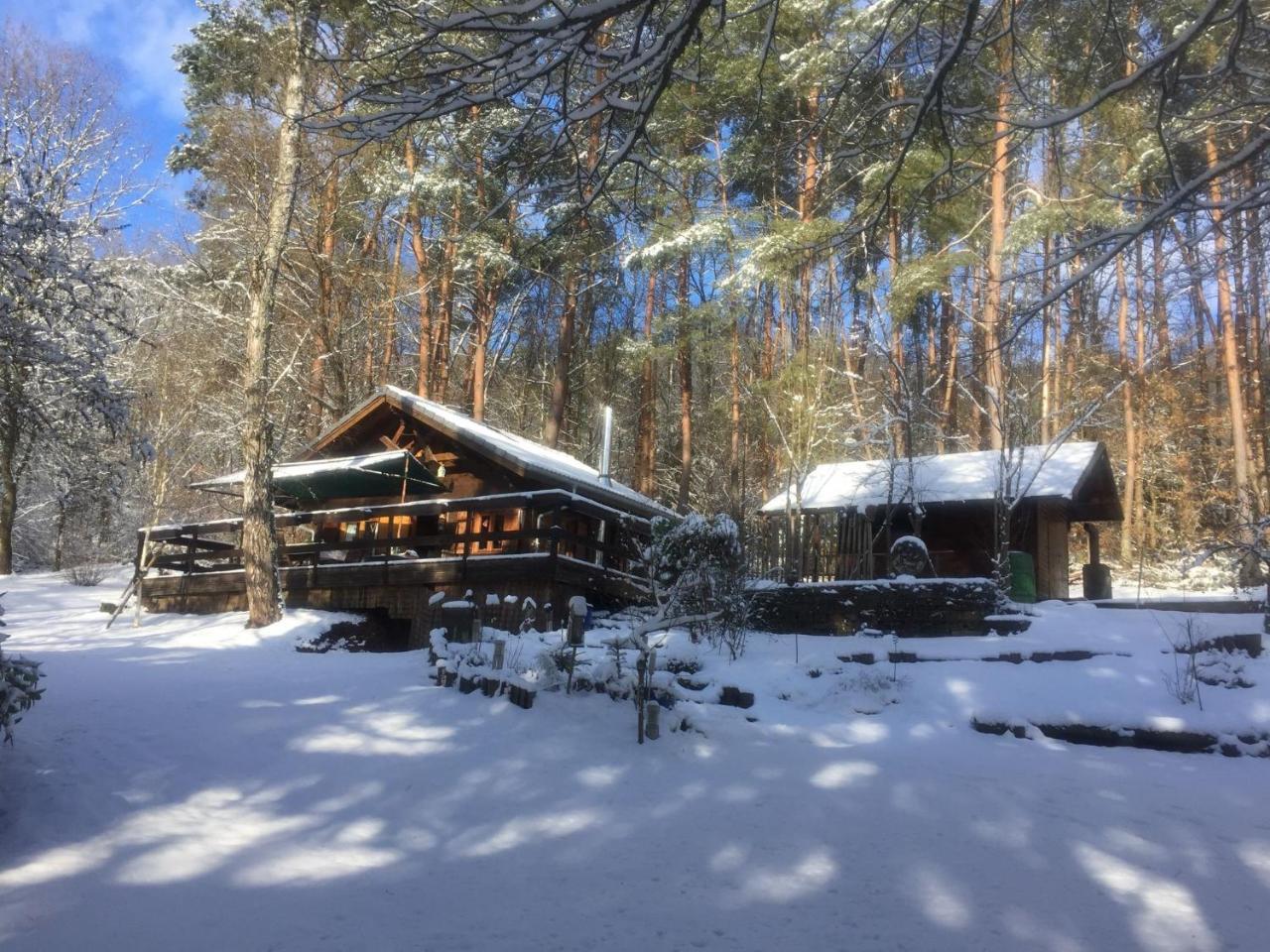 Cosy Chalet With Private Sauna In Bousseviller Екстер'єр фото